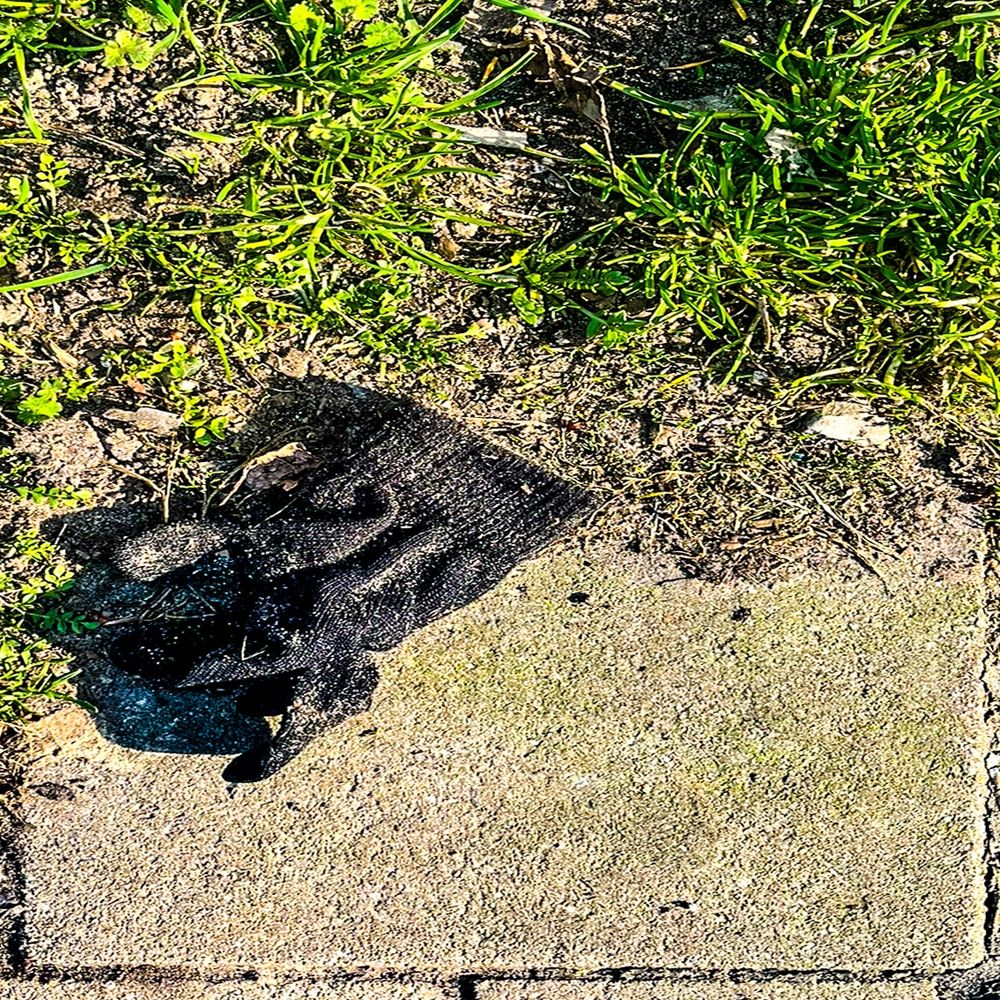 Tegeltje uit de serie Tiles of Amsterdam